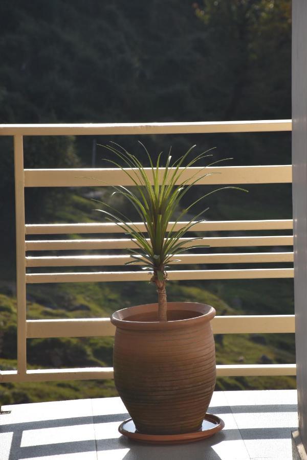 Jot Eco Boutique Stays Dharamsala Exteriér fotografie