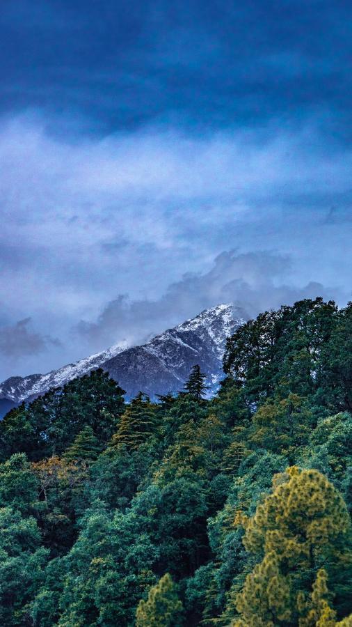 Jot Eco Boutique Stays Dharamsala Exteriér fotografie